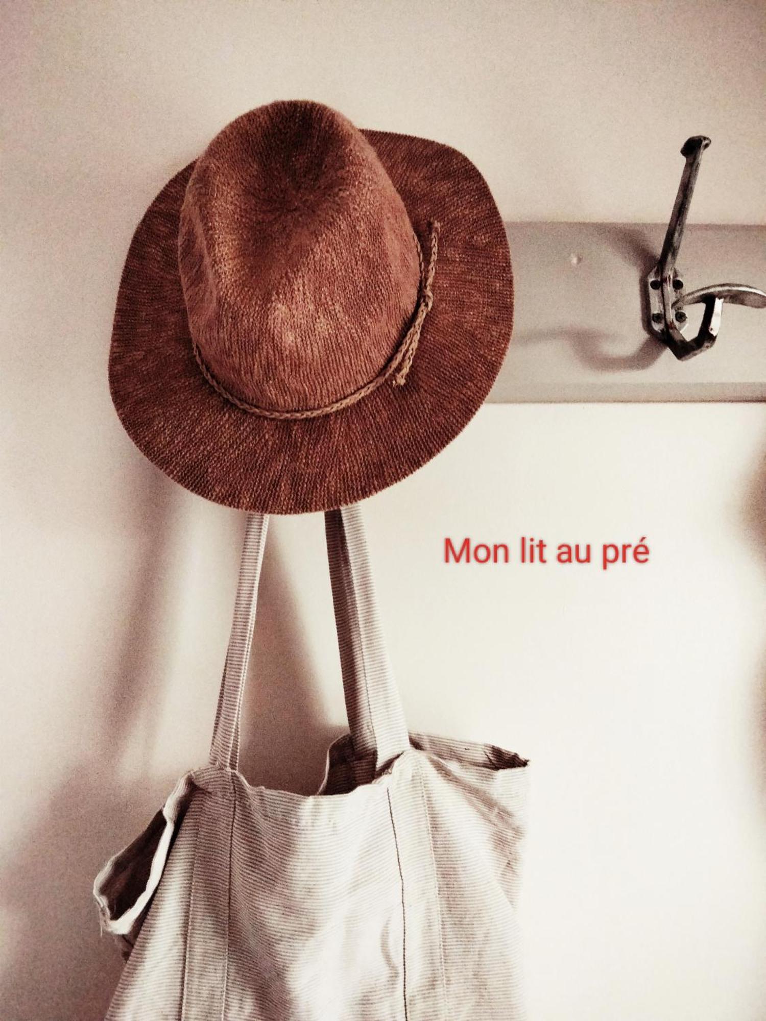 Chambre Familiale Anna "Mon Lit Au Pre" , Jusqu'A 4 Adultes Et 2 Enfants Avec Piscine Familles, Couples Ou Femmes Seulement Pontours Extérieur photo